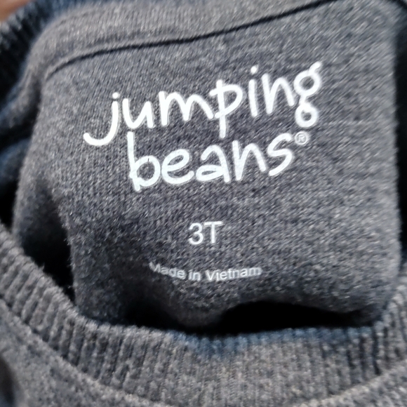 Jumping Beans Boys Sweater Gray and Teal Size 3T - Picture 3 of 3